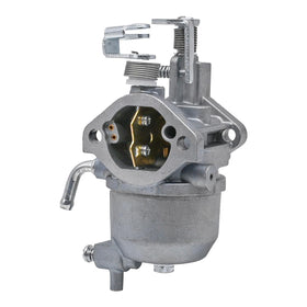 Lanigram carburetor-kit-package-with-fuel-pump, simplifies installation and startup.