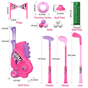 Liberry pink flags and dual-hole setup for guided target practice