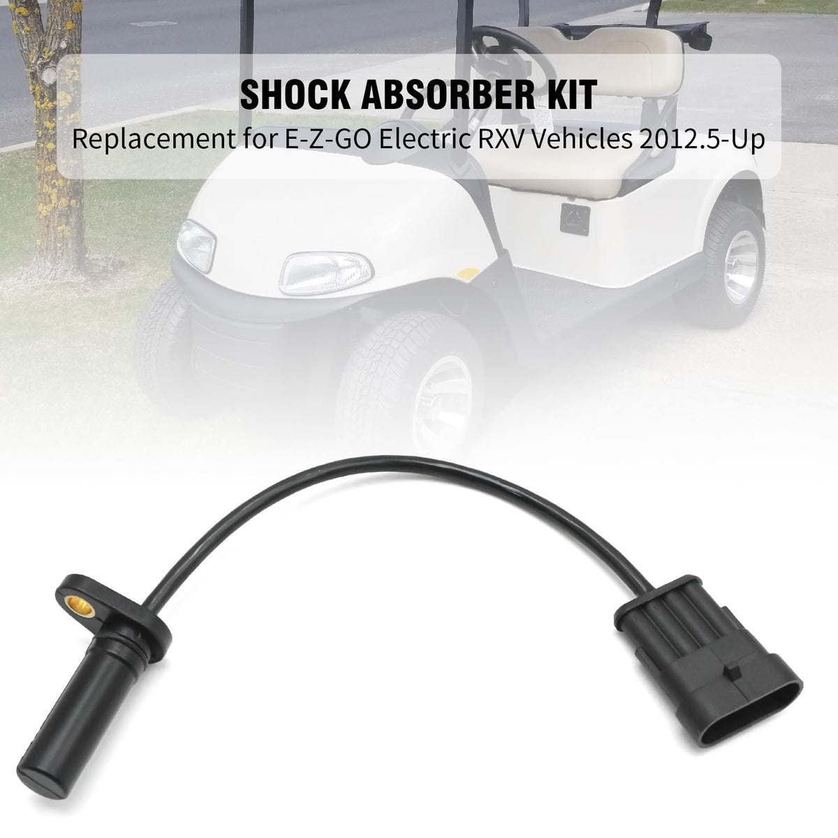 LIDSCURA RXV harness connection for seamless plug-in compatibility