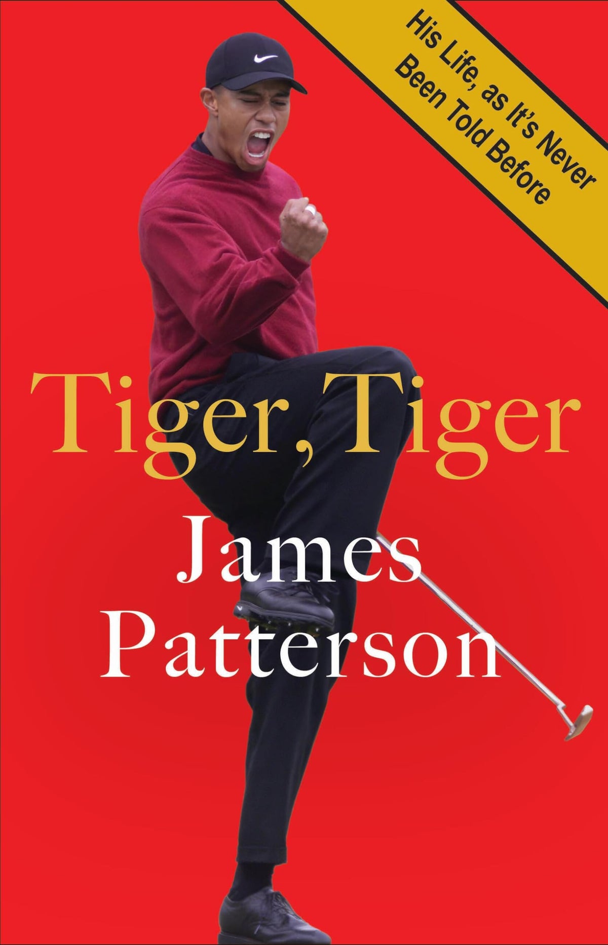 Little, Brown Tiger, Tiger cover—gripping sports biography for fans of real-life triumphs.