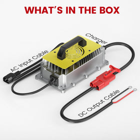 LOSSIGY aluminum body provides durable, shock-resistant performance.