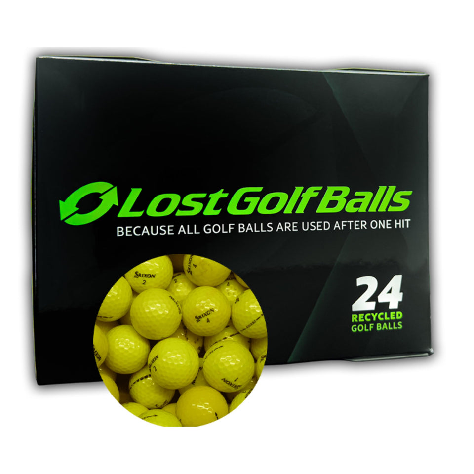 LostGolfBalls Srixon Yellow Mix 24-pack cover shows high visibility packaging.