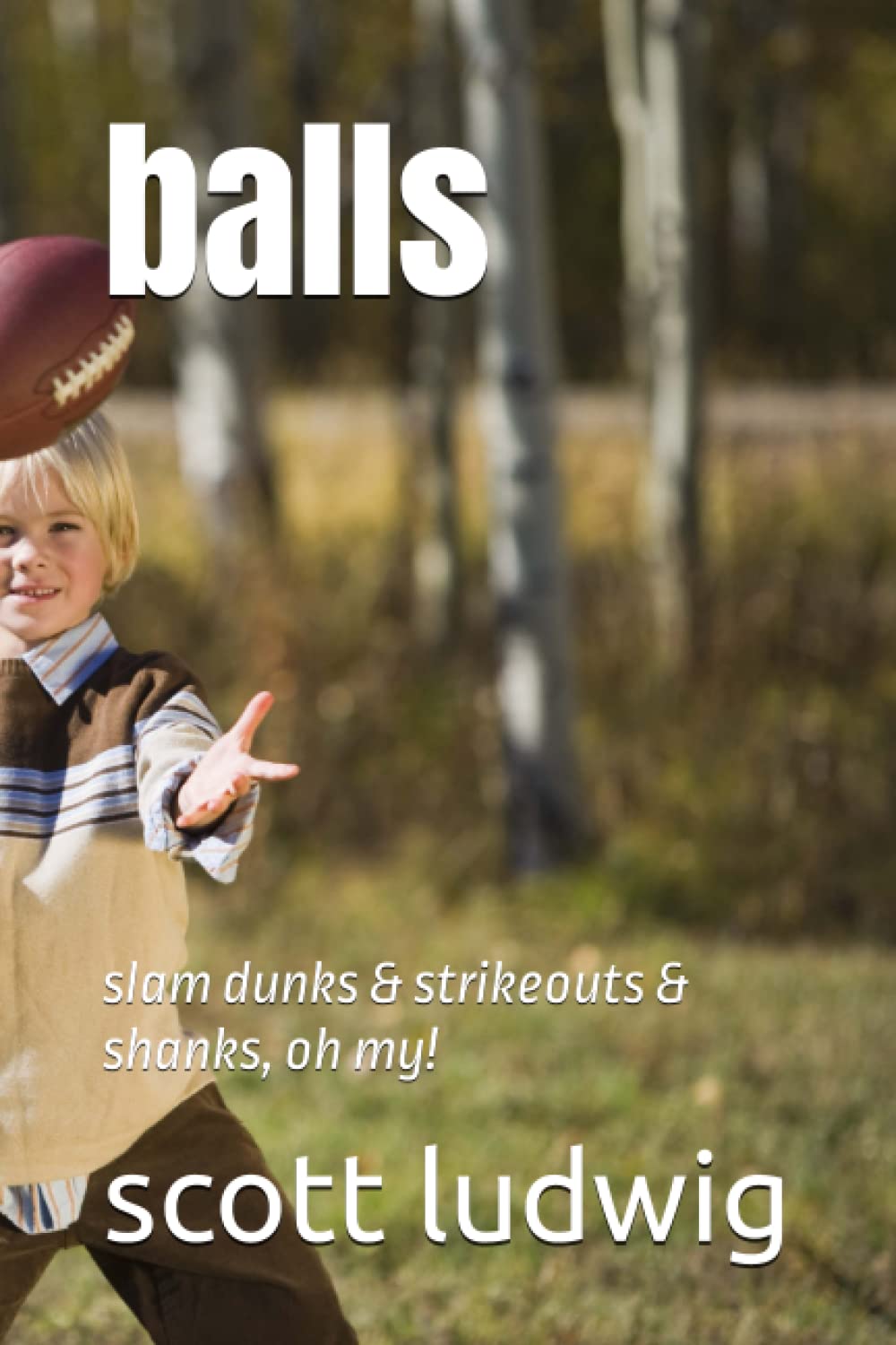Majosta balls book cover with slam dunks and strikeouts—perfect for sports fans.
