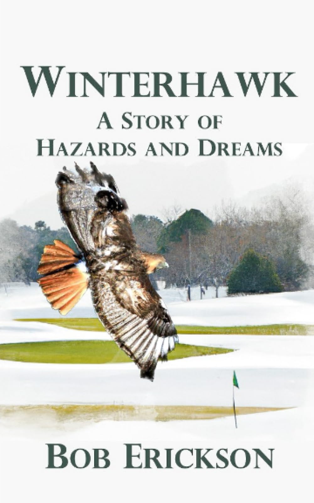 Majosta Winterhawk book cover showing golf and 1960s atmosphere; sparks dialogue on race and culture.