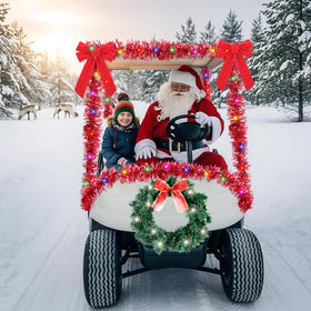 Maysing red bows add bright holiday accents to your golf cart.
