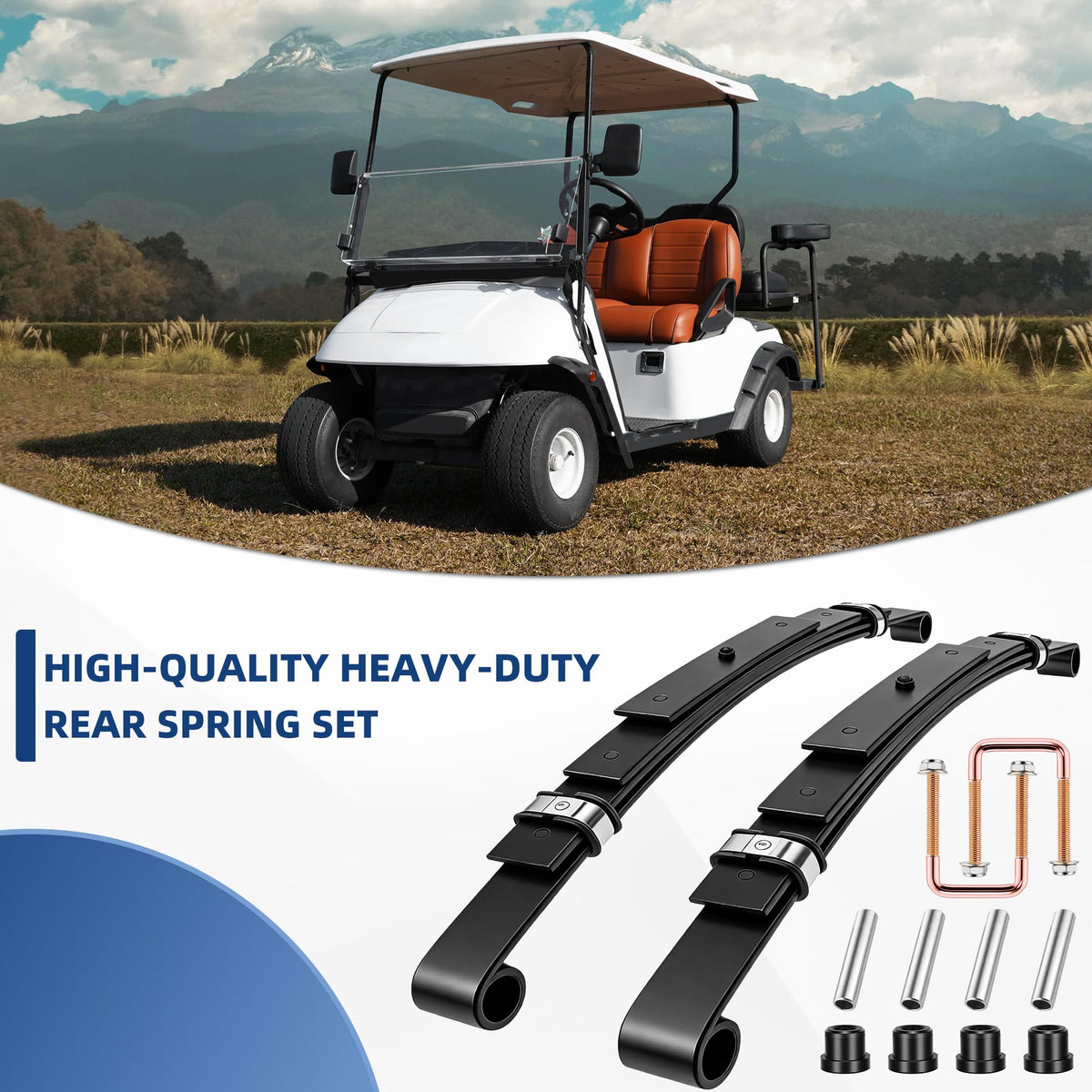 Mixopoly compatibility for EZGO models 1994-2013 electric and 1994-2009 gas.
