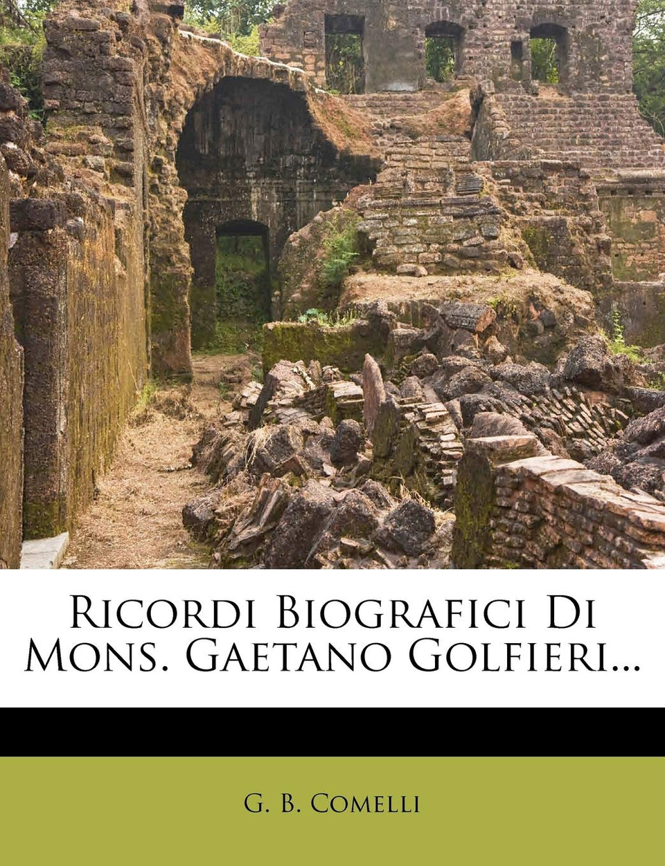 Nabu Press Gaetano Golfieri biography book cover for historical study and collection.