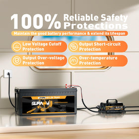 Nasdzao Suraziki LED indicators display real-time charging status.