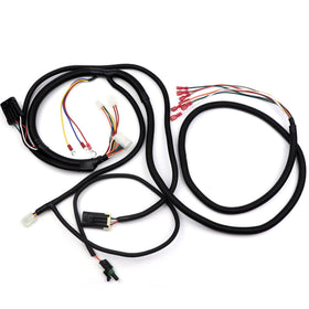 Installation-ready harness with clear labeling for EZGO TXT48 models.