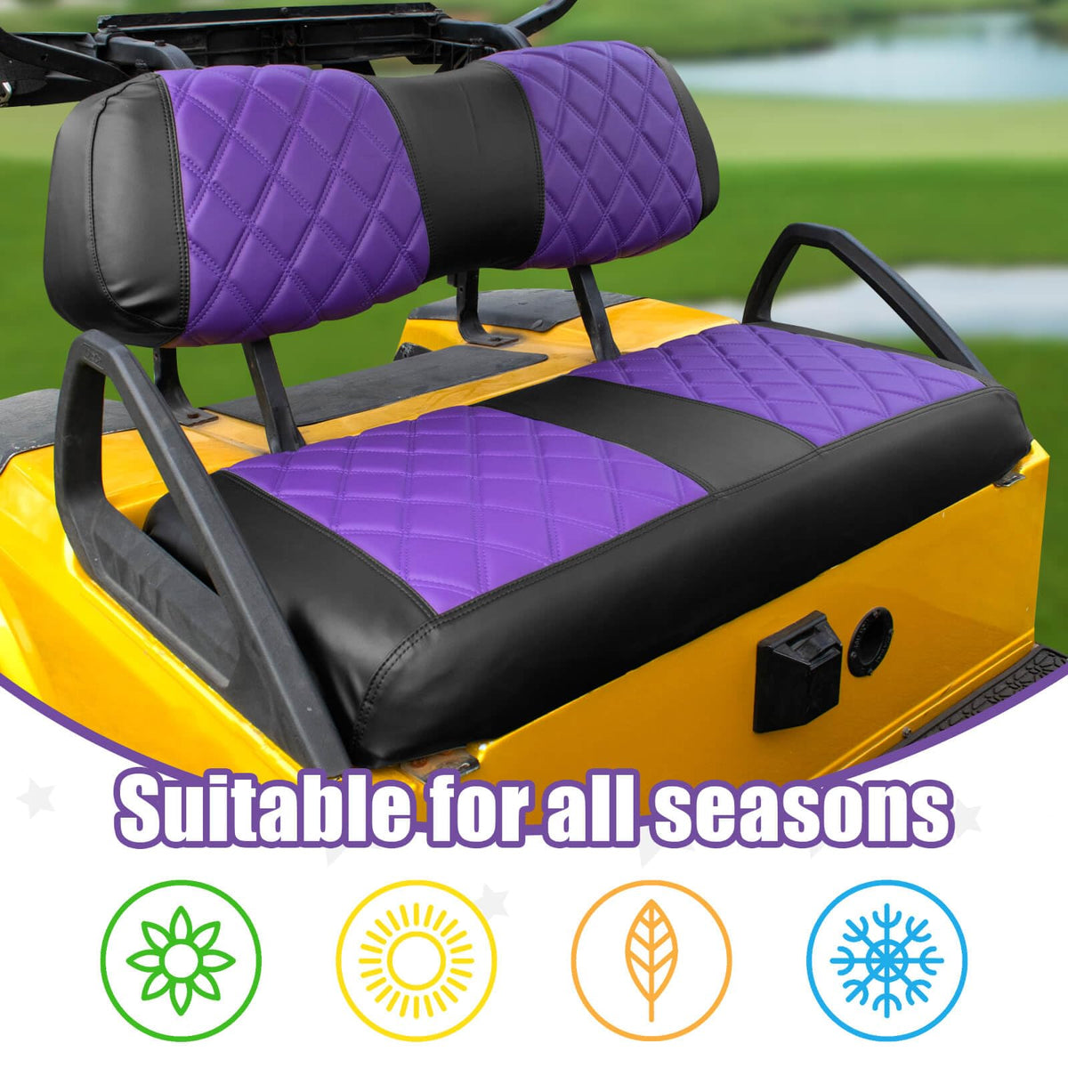 NOKINS purple-black colorway enhances the golf cart interior.