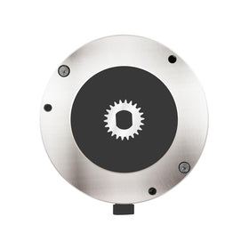 Orle Oko quiet braking system interface for EZGO RXV braking sequence.