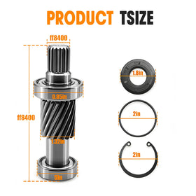Ovabeyna clasp spring shown with input gear shaft for secure engagement