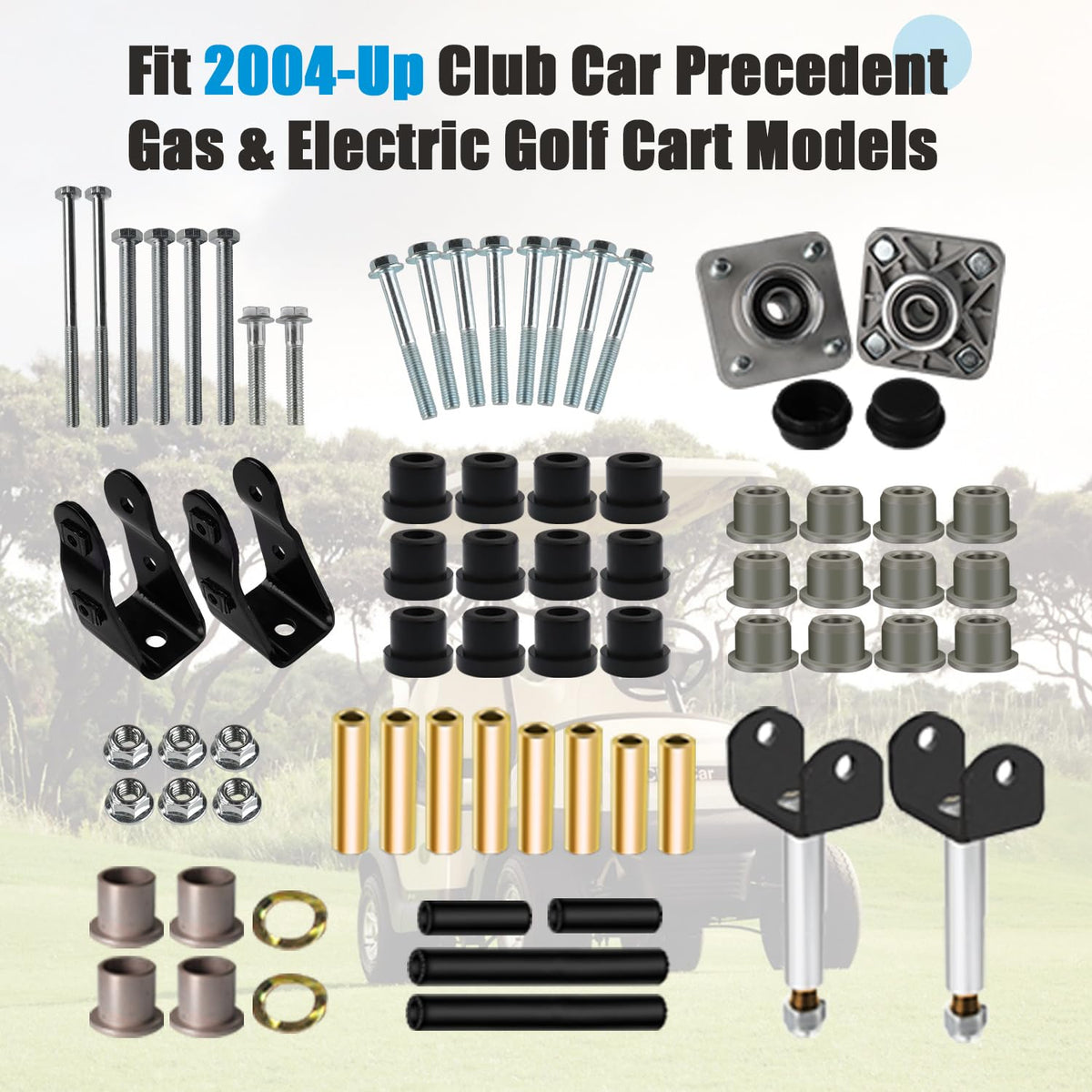 Panglong Club Car Precedent parts laid out for easy, confident repair