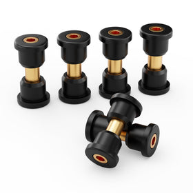 Panglong DS bushing kit package contents for Club Car DS rear springs, clear fitment reference.