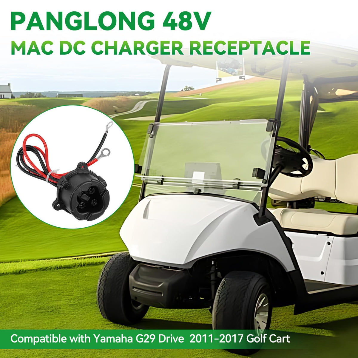Panglong quality assurance and responsive customer support.