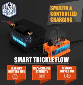 Parts World VoltRevive EZGO RXV and TXT compatibility for easy charging