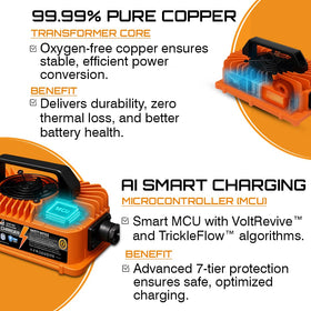 Parts World VoltRevive TrickleFlow maintains charge safely