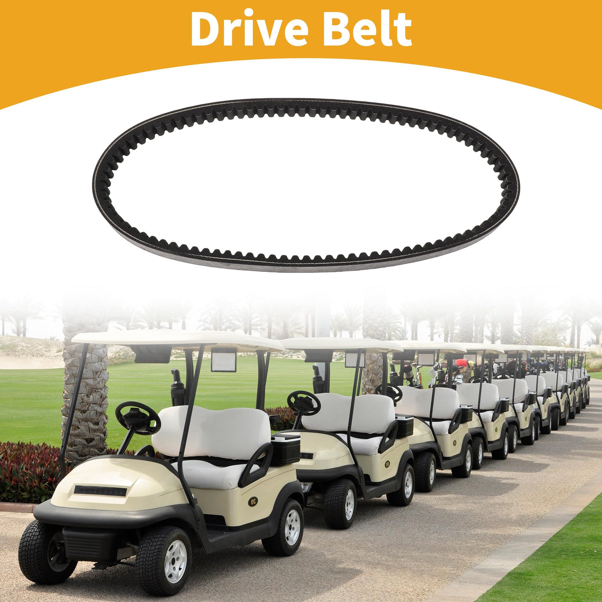 Partuto drive belt closeup shows durable construction for long-lasting performance
