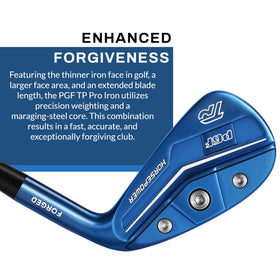 PGF Gold TP Pro iron 6 graphite shaft for smooth tempo