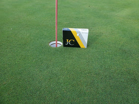 Push Athletics JC Golf Silver Swing ball in flight with steady carry.