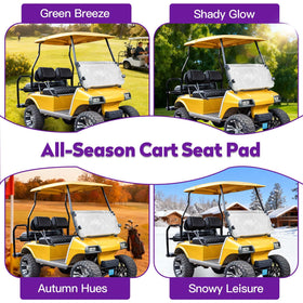 PZWLI black Club Car DS seat cover blends with interior.
