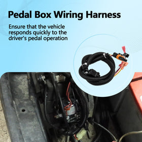 Quealzara pedal box wiring harness close-up highlights secure connections for stable signal