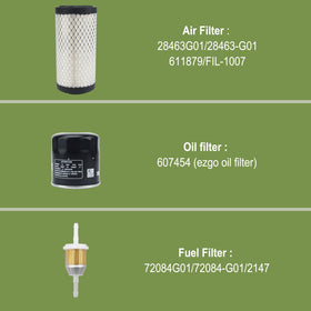 RARAYC golf cart tune up complete kit - includes all filters and the spark plug.