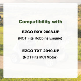RARAYC golf cart tune up fuel filter - prevents clogs for consistent engine performance.