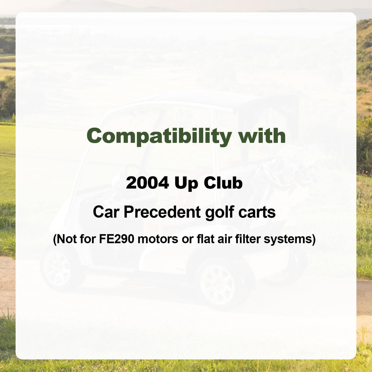 RARAYC air filter image illustrating clean air intake and engine protection
