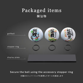RB東京 pedestal stand to showcase the set on shelves