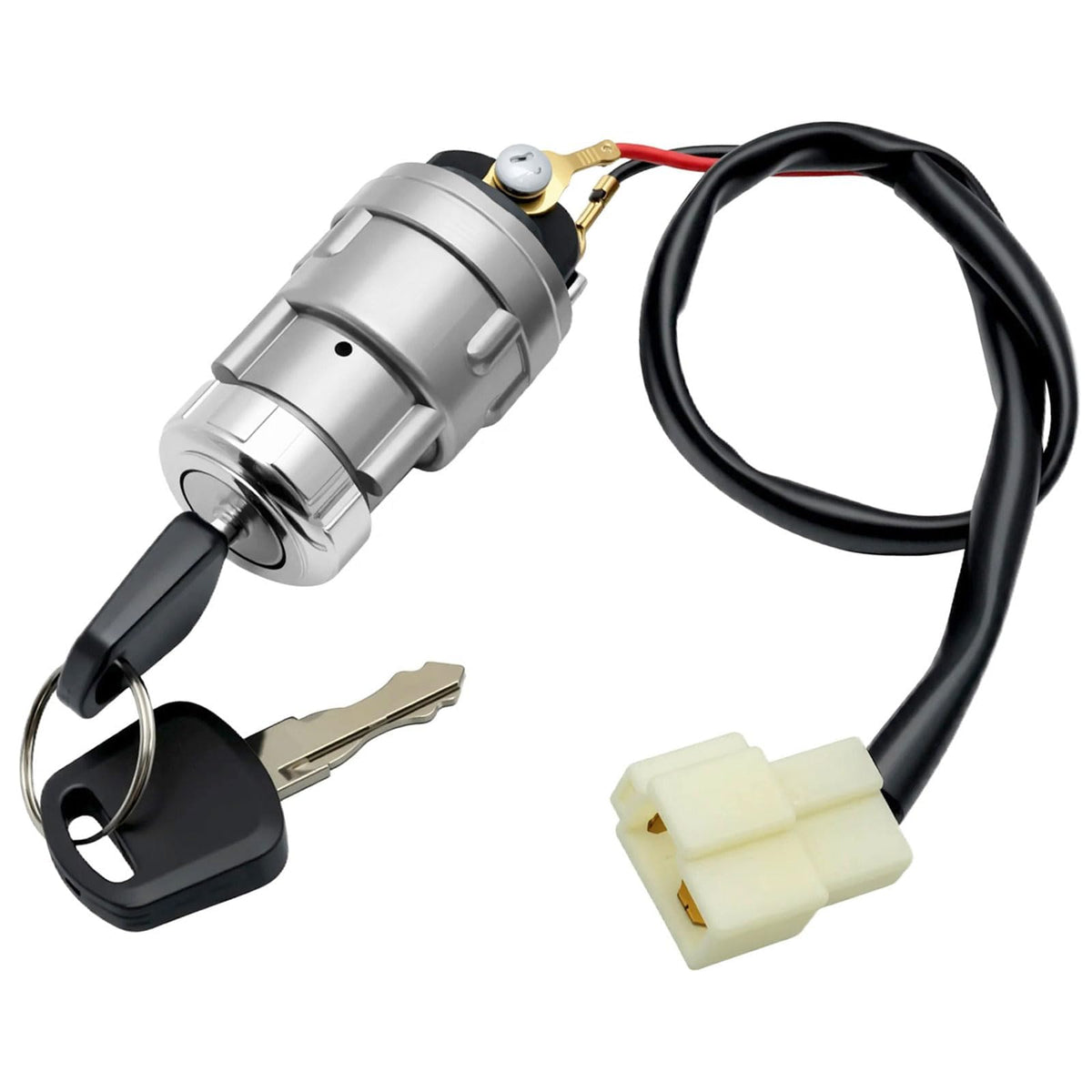 Repustor ignition switch front view with two keys for Star and Zone carts, reliable start option