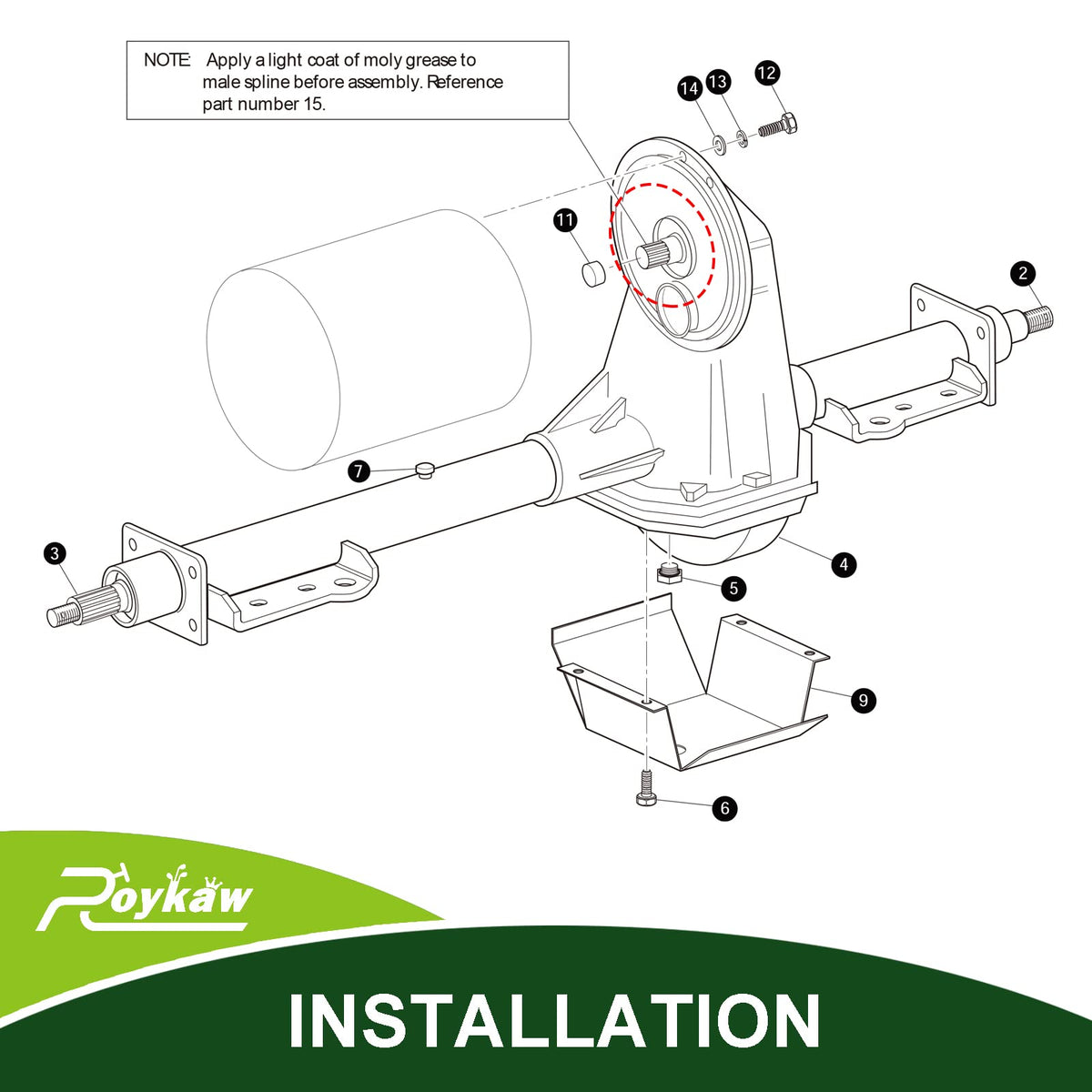 Roykaw 19-spline 21-tooth gear detail confirms secure spline fit.