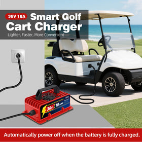 Roykaw 36V golf cart charger, D-style plug compatibility for EZGO TXT.