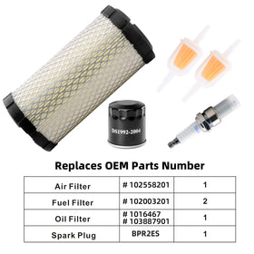 Roykaw brand label visible on Club Car tune up kit