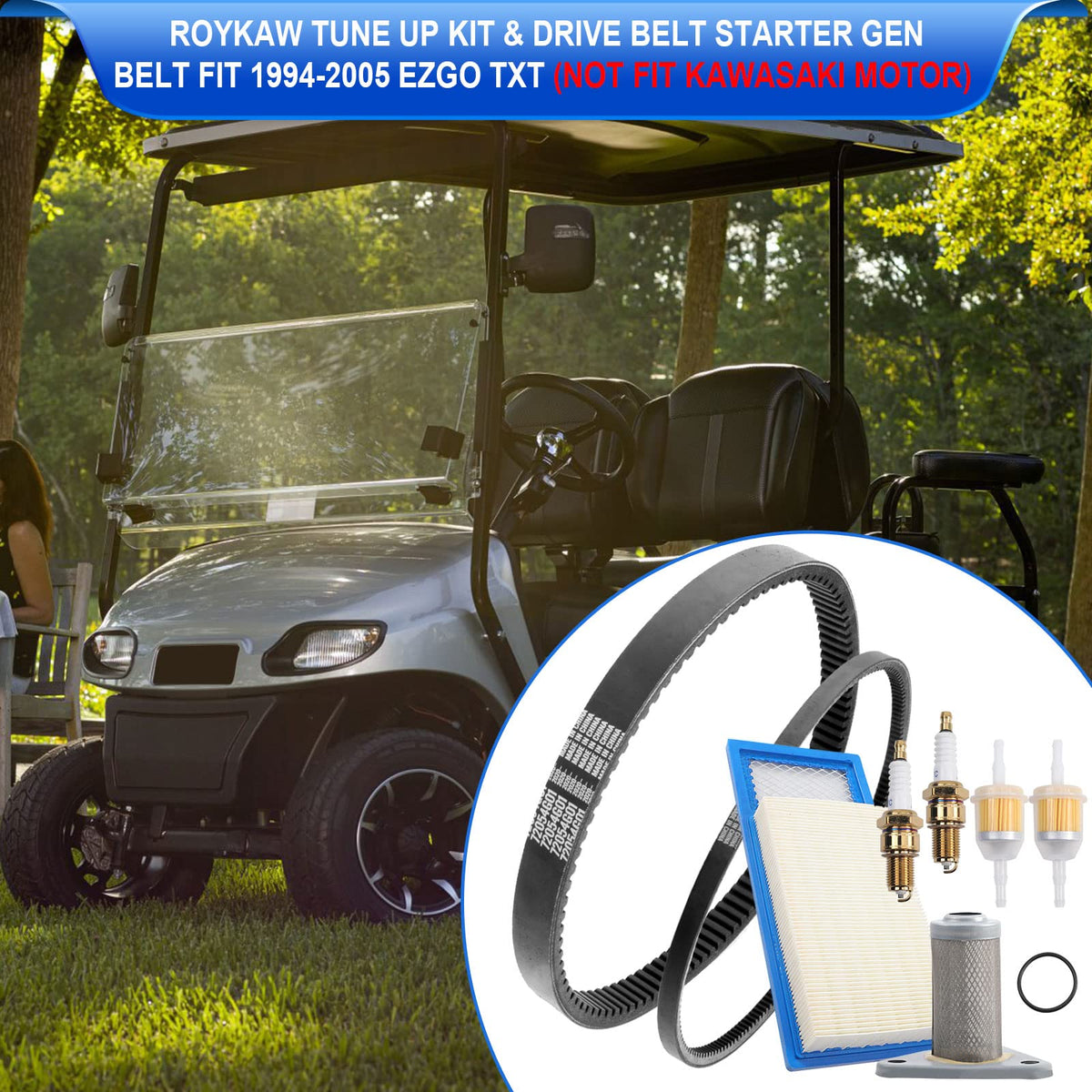 Roykaw EZGO TXT oil filter keeps engine lubrication clean