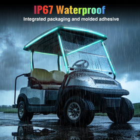 Roykaw IP67 waterproof canopy LEDs resist moisture in all weather
