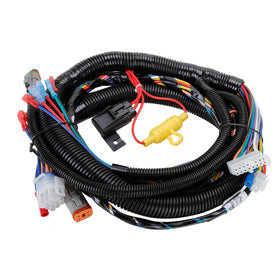 Roykaw main harness branding close-up reinforces quality build for club car enthusiasts