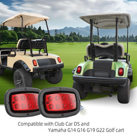 Roykaw golf cart tail light close-up highlights bright LED reach through fog.
