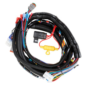 Roykaw wiring harness in use on a Club Car cart delivering tidy cabling.