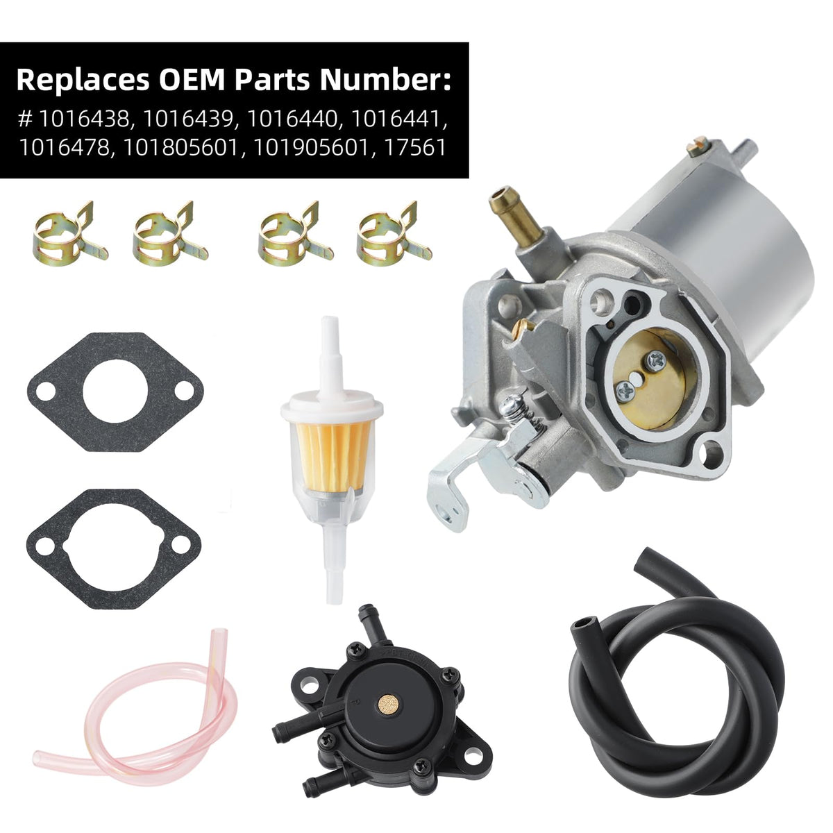 Roykaw kit package includes carburetor, filter, pump, lines, hose, gaskets and clamps