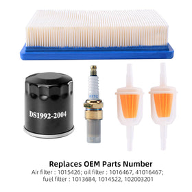Roykaw maintenance tips for Club Car DS upkeep