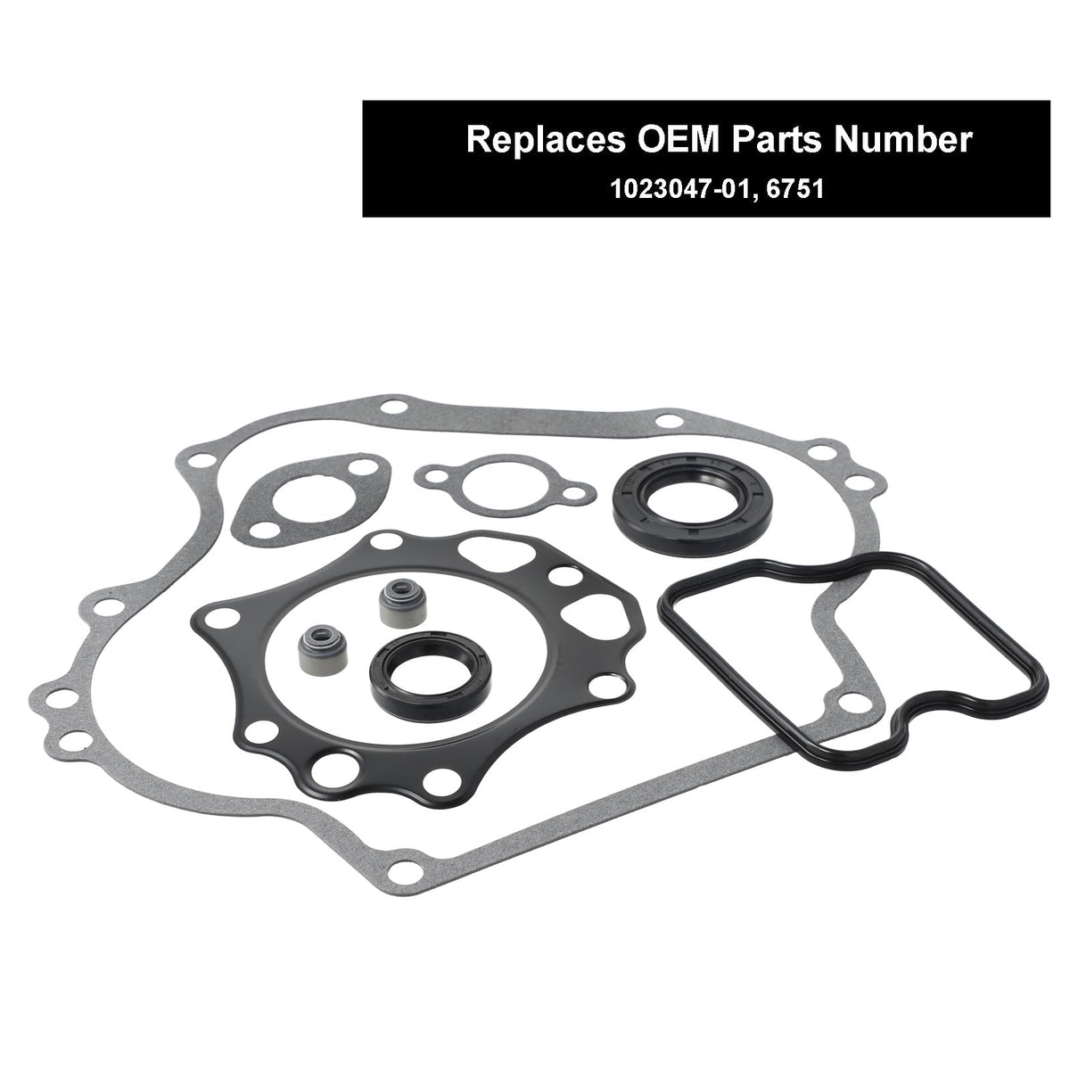 Roykaw packaged gasket kit product shot for DS and Precedent models.