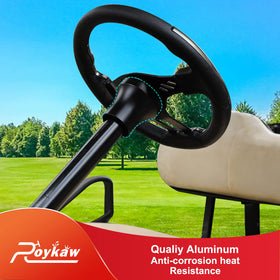 Roykaw black exterior matches golf cart interiors and wheels.