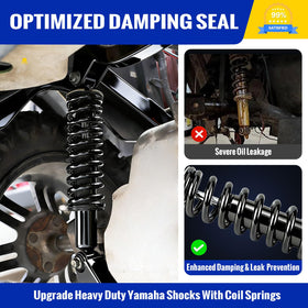 Roykaw two-piece rear shock absorbers kit ready for OEM-style replacement.
