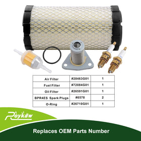 Roykaw EZGO spark plug close-up for reliable starts and steady performance