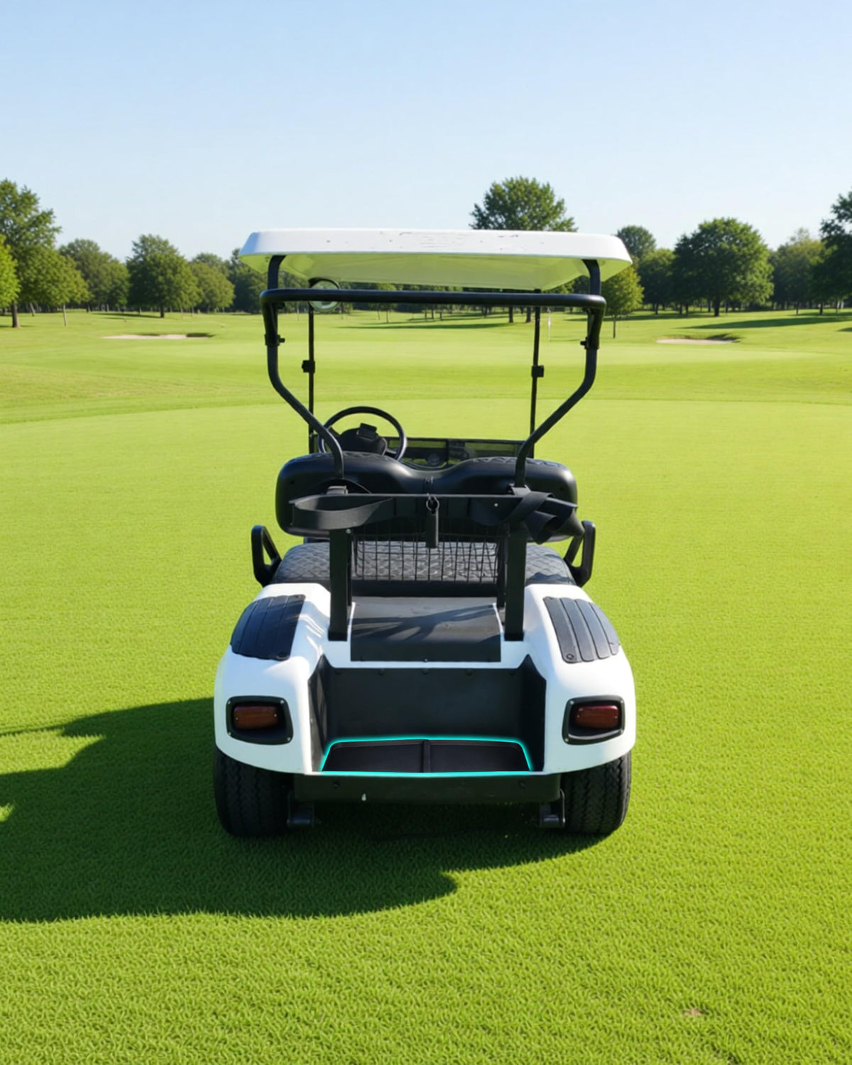 SAUTVS bagwell liner resists dirt and spills for a pristine rear area.