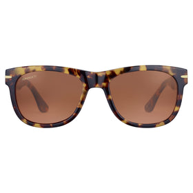 Serengeti FOYT tort Havana sunglasses featuring mineral polarized drivers for outdoor clarity