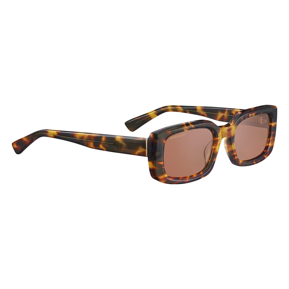 Serengeti Nicholson frame in shiny tort Havana for versatile daily wear