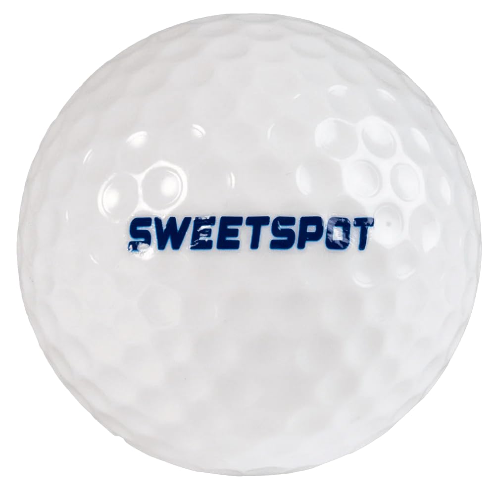 SweetSpot Baseball family lawn golf session shows inclusive play.