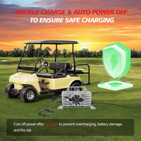 Broad compatibility with Delta-Q and Powerwise EZGO models